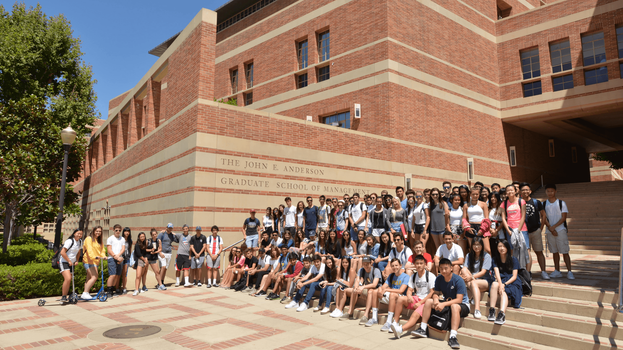 Unleash Your Business Potential this Summer at UCLA Anderson ✨