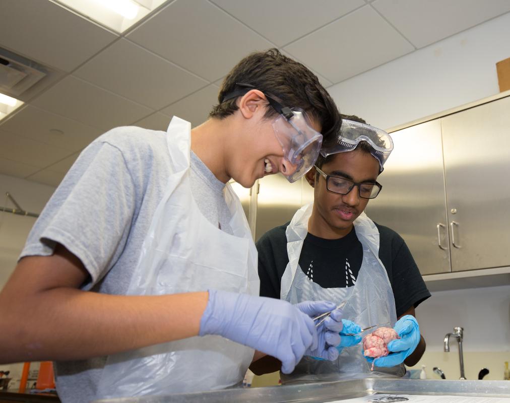 Courses in Medicine at UC Berkeley, Dartmouth, UT Austin, and